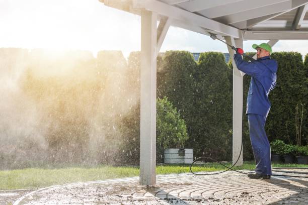 Best Roof Cleaning and Mildew Removal in Westminster, TX